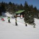 sola-v-naravi-februar-2012
